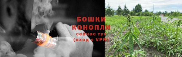 ГАЛЛЮЦИНОГЕННЫЕ ГРИБЫ Краснотурьинск